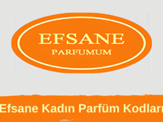 Efsane Parfüm Kodları