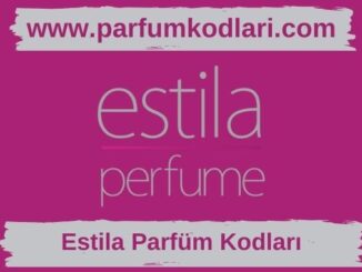 Estila Parfüm Kodları
