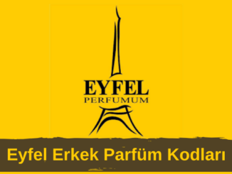 Eyfel Erkek Parfüm Kodları