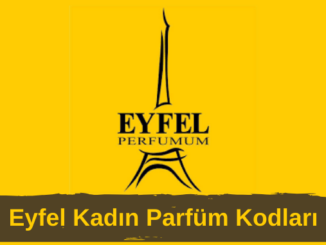 Eyfel Kadın Parfüm Kodları